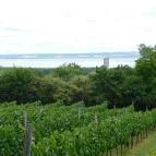 Laci Pince Csárda Vászoly - Egyéb