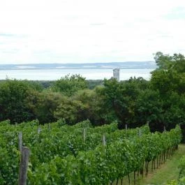 Laci Pince Csárda Vászoly - Egyéb