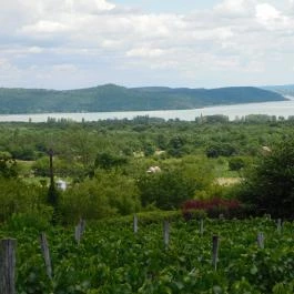 Laci Pince Csárda Vászoly - Egyéb