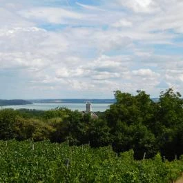 Laci Pince Csárda Vászoly - Egyéb