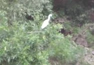 Ladányi csatorna Szarvas