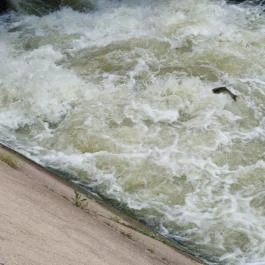 Ladányi csatorna , Szarvas - Egyéb