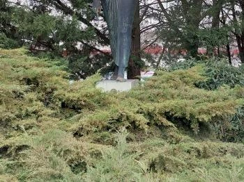 Lány galambbal Budapest