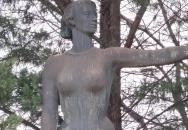 Lány galambbal Budapest