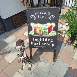 Lépcső Bisztró, Kisköre - Egyéb