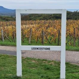 Lesenceistvándi Szűz Mária kápolna, Lesenceistvánd - Egyéb