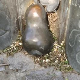 Lesznai Anna, Hatvan - Külső kép