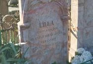 Lilla sírja Dunaalmás