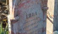 Lilla sírja Dunaalmás - Egyéb