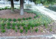 Lillafüredi függőkert Lillafüred