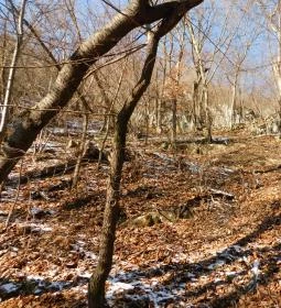 Lillafüredi Kálvária