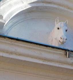 Lipicai Lótenyésztés Történeti Kiállítás