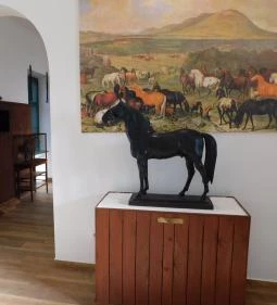 Lipicai Lótenyésztés Történeti Kiállítás