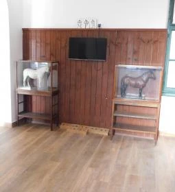 Lipicai Lótenyésztés Történeti Kiállítás