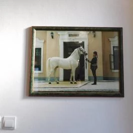 Lipicai Lótenyésztés Történeti Kiállítás, Szilvásvárad - Egyéb