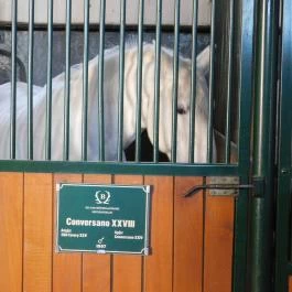 Lipicai Lótenyésztés Történeti Kiállítás, Szilvásvárad - Belső