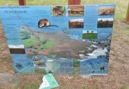 Lipóti kilátó Lipót