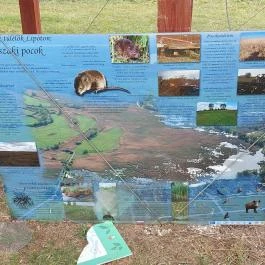 Lipóti kilátó Lipót - Egyéb