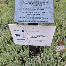 Litván szoborpark, Tokaj - Külső kép