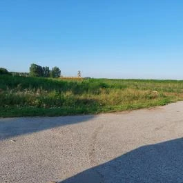 Lombkorona-sétány Nyírmártonfalva - Külső kép