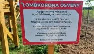 Lombkorona-sétány Nyírmártonfalva - Egyéb
