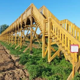 Lombkorona-sétány Nyírmártonfalva - Egyéb