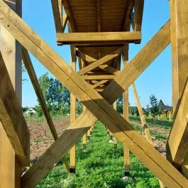 Lombkorona-sétány Nyírmártonfalva - Egyéb