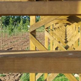 Lombkorona-sétány Nyírmártonfalva - Egyéb