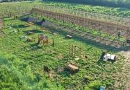 Lombkorona-sétány Nyírmártonfalva