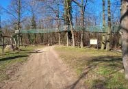 Lombkorona-sétány és erdei pihenőpark Súr