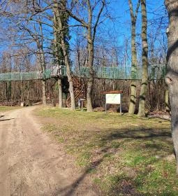 Lombkorona-sétány és erdei pihenőpark