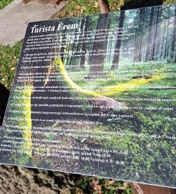 Lombkorona-sétány és erdei pihenőpark