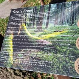 Lombkorona-sétány és erdei pihenőpark Súr - Egyéb