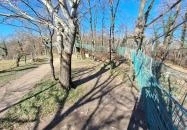 Lombkorona-sétány és erdei pihenőpark Súr