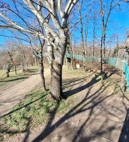 Lombkorona-sétány és erdei pihenőpark