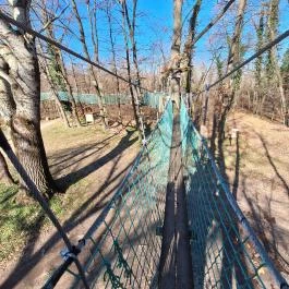 Lombkorona-sétány és erdei pihenőpark Súr - Belső