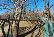 Lombkorona-sétány és erdei pihenőpark Súr