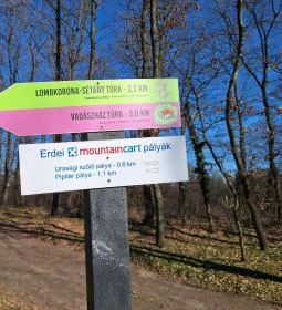 Lombkorona-sétány és erdei pihenőpark