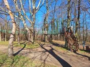 Lombkorona-sétány és erdei pihenőpark Súr