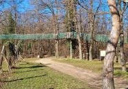 Lombkorona-sétány és erdei pihenőpark Súr
