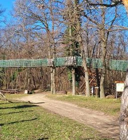 Lombkorona-sétány és erdei pihenőpark