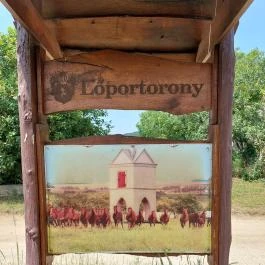 Lőportorony, Csákvár - Egyéb