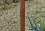 Lourdes-i barlang Ercsi