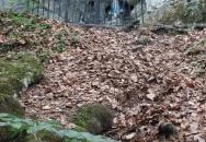 Lourdes-i Mária szobor Várgesztes