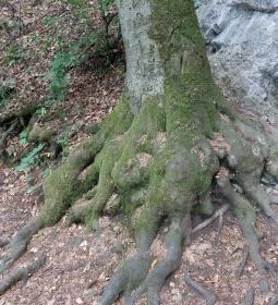 Lourdes-i Mária szobor
