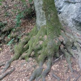 Lourdes-i Mária szobor Várgesztes - Egyéb