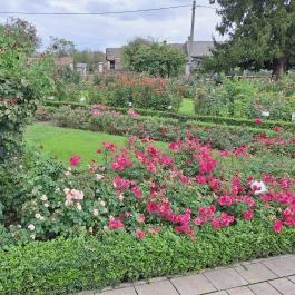 Luby-kastély Nagyar - Külső kép