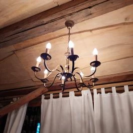 Luca Háza Panzió, Feketeerd? - Egyéb