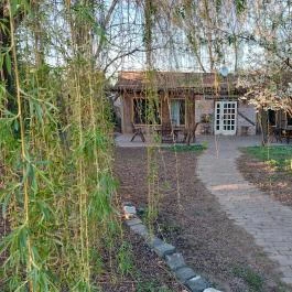 Luca Háza Panzió, Feketeerd? - Egyéb