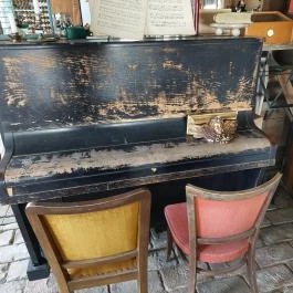 Luca Háza Panzió, Feketeerd? - Egyéb